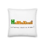 Coussin Hamaxicool